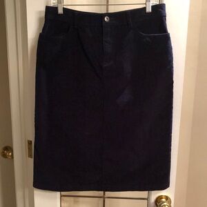 Elegant Navy Blue Micro Corduroy Skirt